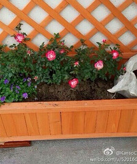 ���ɻ����������� ��ʵ��װ������ͷ��ͷ�������