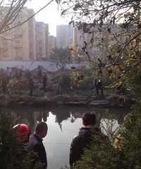 ����������亲˳���С����һ���˸�ʬ���ͼ��