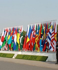 һ��"�ɵ�"������ͩ������ �����ϳ�ȫ����