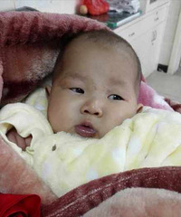 ������԰ĳ���˼�Χǽ���Ϸ���һ��Ӥ��ͼ��