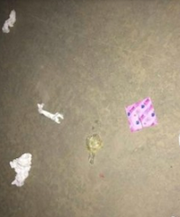 ����ĳ��Ԣ���³��⳵���ֳ�������̫���Ҳ��ҿ�