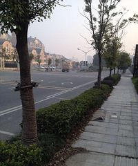 ���̳����С�������߷壡