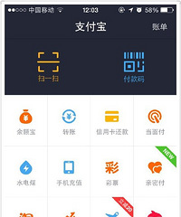 ֧���������ڼ��˽ɵ��ӷ��� ��Ҳ���õ�������ų���