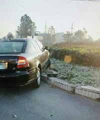 ���ӳ��ϻ�̳������