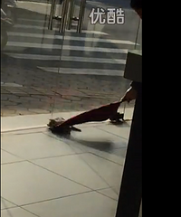 ���Ժ��ڣ�ʵ�Ļ������纣��һƻ����곤Űè�¼�