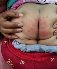 ��è����˫12��İﱦ�ʱ����ú����ƨƨ����