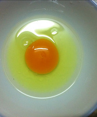 �ĸ�������ģ���ʳƷ��ȫ��