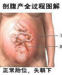 �ʸ���ȫ����ͼ�� ��ζ��������