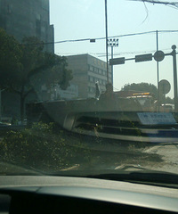 ͩ�糵��~����