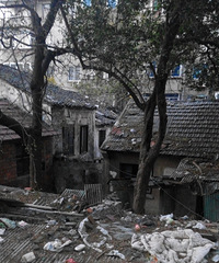 ����·�кͽ�����ķ���һƬ����