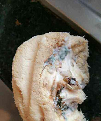 ��������ǵ�Ʒ�Ƽ�ֵ���⼸��Ǯ��