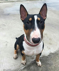 ����ĳ�ϰ��"�����"���� �м�12000Ԫ