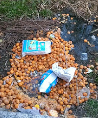 �����˺ӱ�ɢ��(Ԫһ��ׯһ�ں��˺�)��������