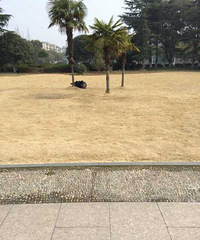 ��ͥ���ڵģ����Ļ��㳡��ƺ�����Ȳ��ð�