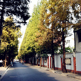 小马路压起来有味道
