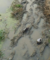 ���ƣ�����ׯ���һ��ź���ﾪ��һ�����˵�ʬ��