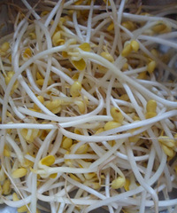 "黄豆芽炒油豆腐"