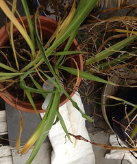 ���»�԰����������¥�����з�������ֽ��2¥������