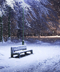 �����ǽ�ȫ����ѩ������μ��˻᲻������