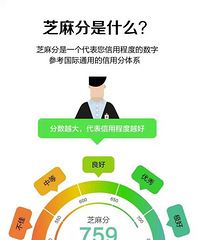 "赶紧查查支付宝,看你的芝麻分(网络信用积分)是多少?"