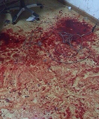 1��28��ƽ��momo�ưɿ�����Щ��ɥ�ư�