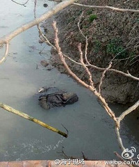 ��������ˮ���������Ÿ����ĺ��о���һ��ʬ�壡