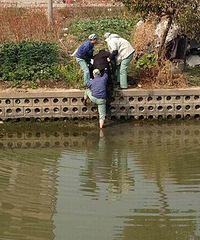 ���ޣ�ƽ��3������ҵԱ������������ˮ����