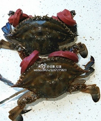 ƽ��ĳ���г��İ�װˮ�־�Ȼ������Ʒ����һ���࣡