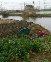 �������û��ѡ�����һ��̫���ںӱ� ����ʧ����������