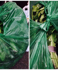 ���칫˾Ůͬ���յ��������ѵ�������Ƕ�������