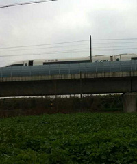 ���������꽨������·��ͣ������ ��������ô�ˣ�