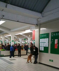 ���Σ����˸߻ƹ�����˳�  ������Ϯ�ŵù�Ǻ