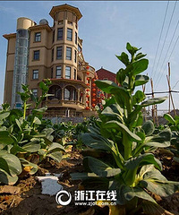 ����һũ����ʽ�������𡱱���װ�۹���ݱ�����