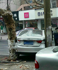 ��΢�������û��ѡ��������������ѵ�����Ů˾����Ϊ...