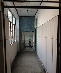 ���˶�Ժ�������ſ����Ҳ�����������������ĵط�