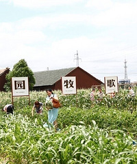 [����]�Լ��տ�Ұ�׷����һ�ܱ���