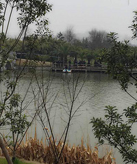 ��㤣�ƽ���ж�����ɽ��԰����һ����ʬ��