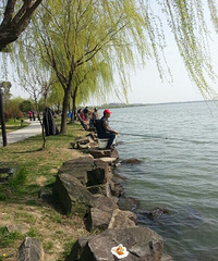 ��ҵ����ο�����̫��