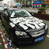 惹毛女人的下场
