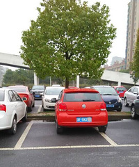 ĳ��ȥ���п���������ͣ������