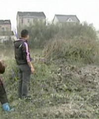 ���ᱼ�������ٽ�  15���������ȴ������