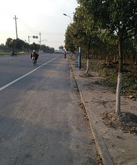 �������û��ѡ��ͳ����ϰ����ֽС�ģ�������������������