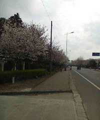 ͯЬ�ǣ���ɽ·��ӣ������