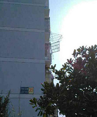 6��Ů�����ŷ�������3¥��̨�������