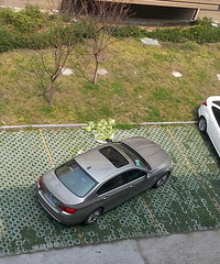 ����ͷ���ϡ�һ��ռ��λ����������������