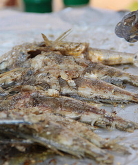 Ƽһտõط ʮһȥҪŶӿͼ