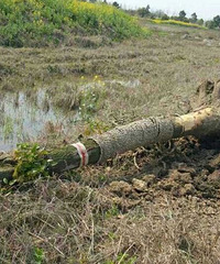 ����ͷ���ϡ���ҵ�·�� һ���ִ����Ľų�����