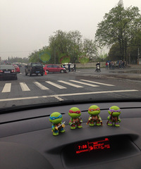 ����ͷ���ϡ�+��ϻ���������ɫ���ײ�ϵ�ƿ���ֳ�