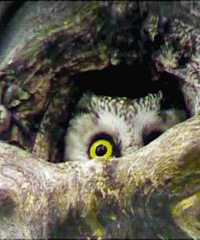 [����]��Щ�������˼ҵĺ��Ӷ����ܳ�