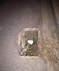 ��ȫ��һ�����尡��̫����ȫ�ˣ��ܱ߶�û��